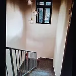Zorin House *