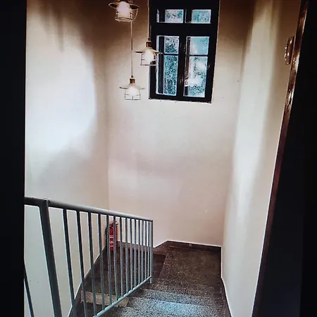 Zorin House *